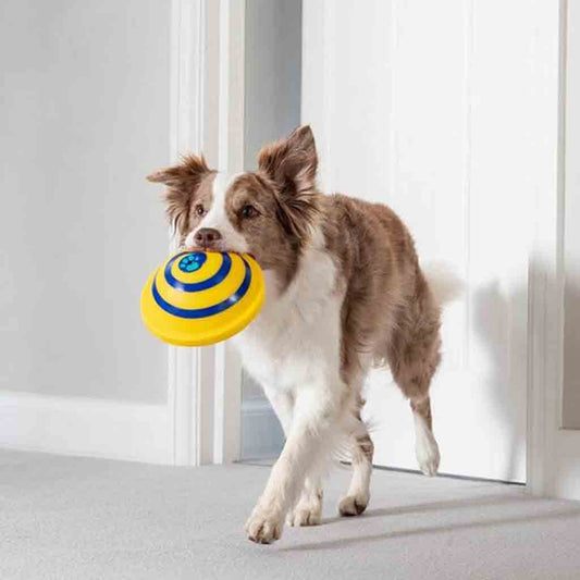 Soft & Safe Indoor Pet Sounding Disc Toy