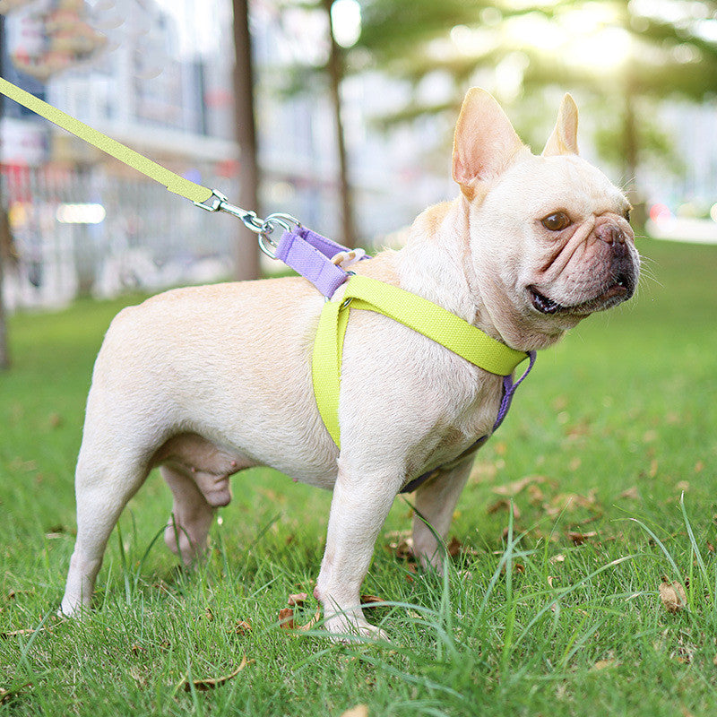 Pet Vest-style Drawstring Leash