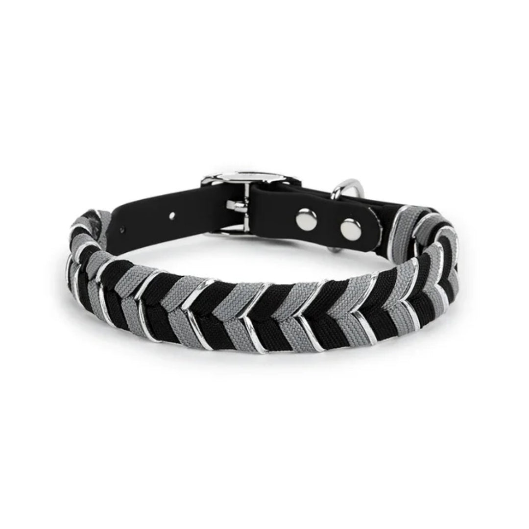 Metal Buckle Dog Collar Traction