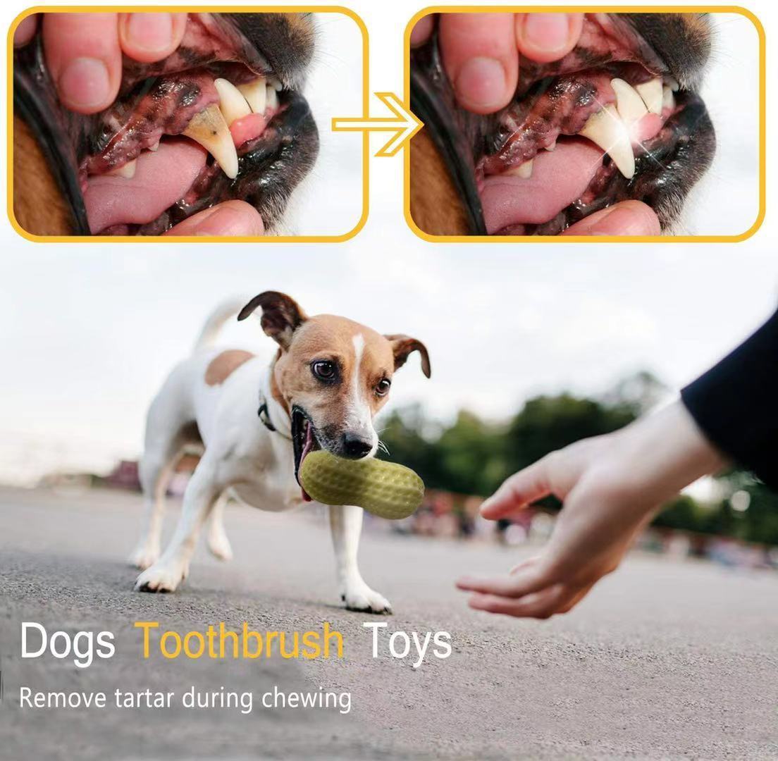 Funny Pet Squeaky Toy