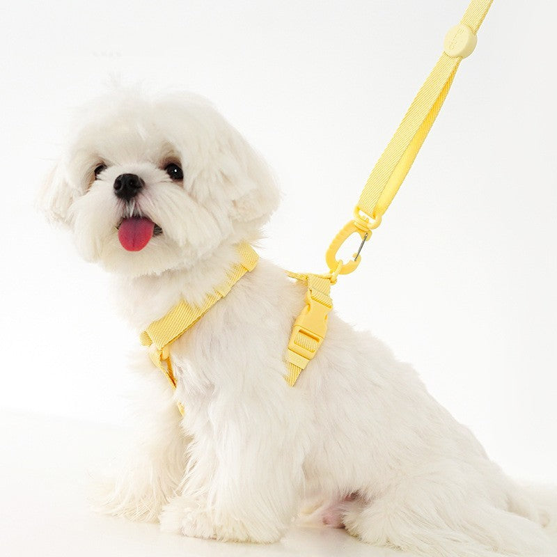 Pet Macaron H-type Collar Chest Back Lead Rope