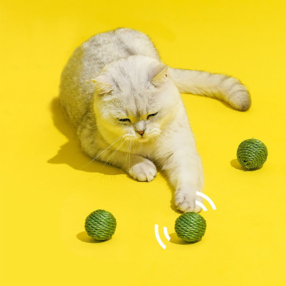 Interactive Chew Ball Toy With Rustling Sound