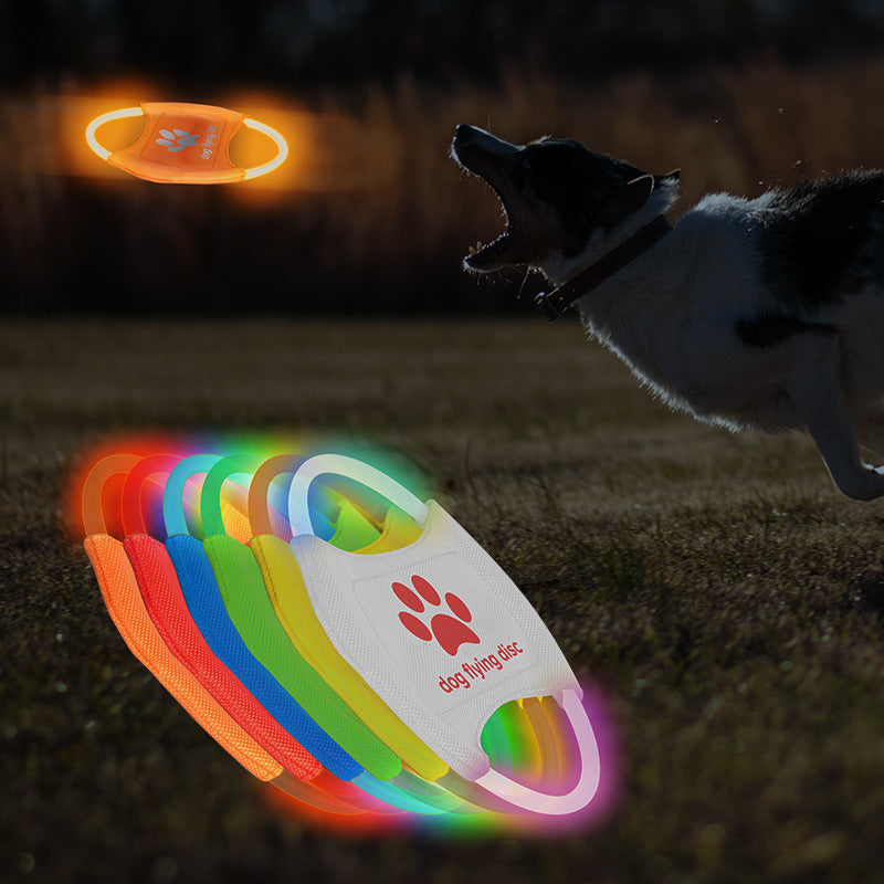 Pet LED Luminous Flying Discs