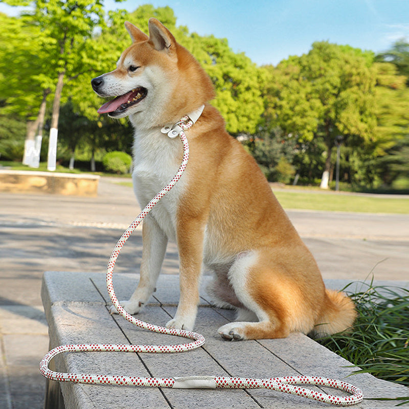 Dog Strap Traction Rope