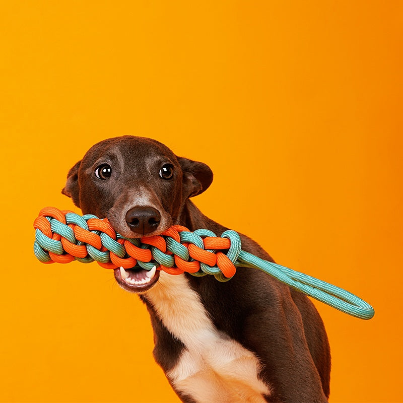 Interactive Pet Knot Toy