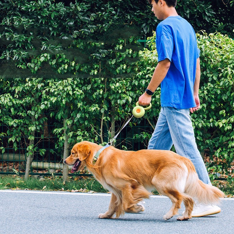 Automatic Retractable Pet Leash Reflective Rope