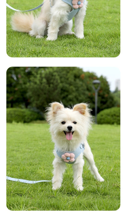 Vest-style Chest Strap Dog Leash