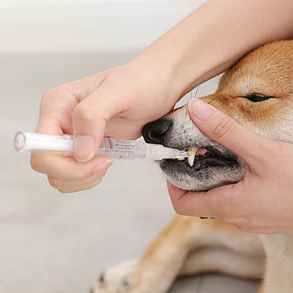 Pet Teeth Cleaning Pen Kit