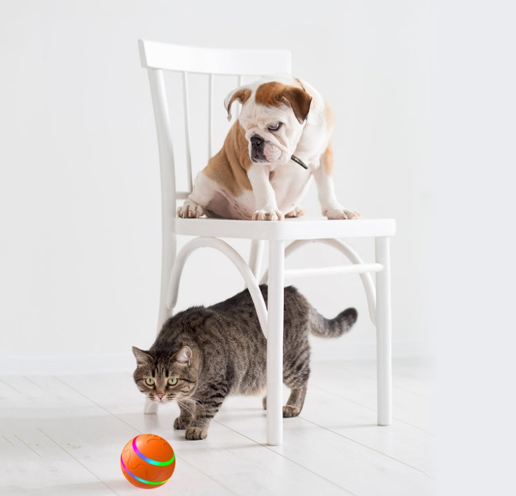 Automatic Rotation Ball Pet Toy