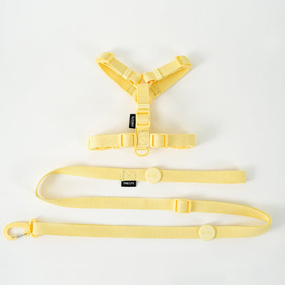 Pet Macaron H-type Collar Chest Back Lead Rope